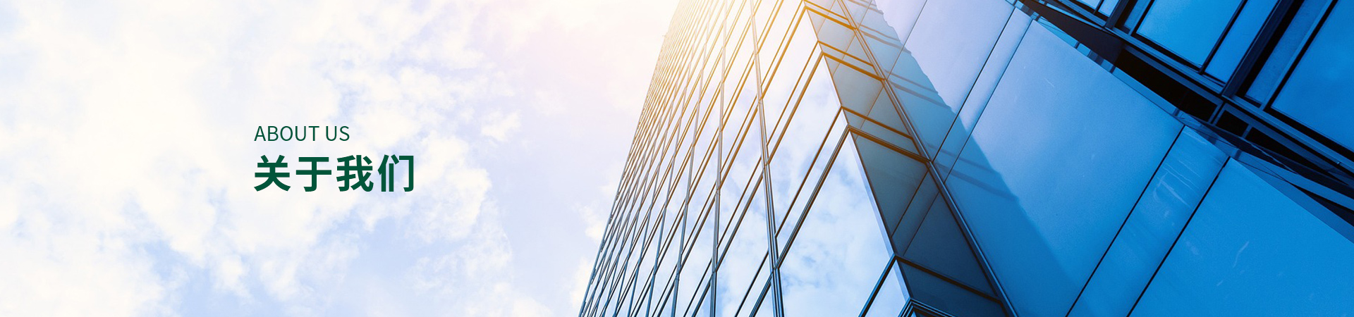 企业简介-尊龙集团官方网站